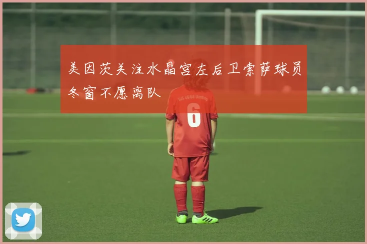 美因茨关注水晶宫左后卫索萨球员冬窗不愿离队