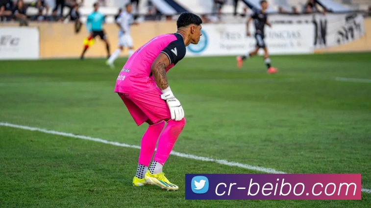 贝博足球平台生态图